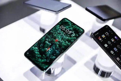 锤子首款5G手机确认，或命名坚果Pro 4，软件体验成亮点